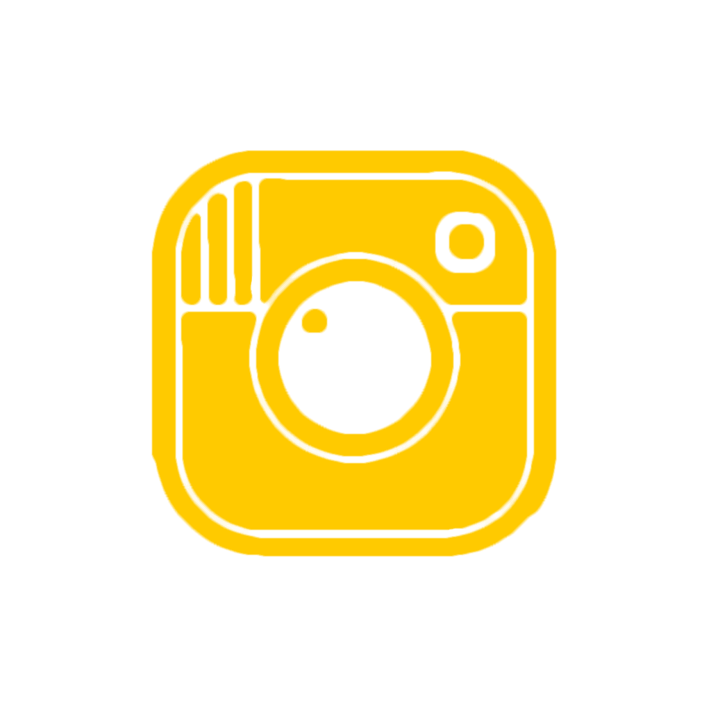 Instagram Icon